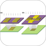 When Top-Down Meets Bottom-Up: EUV and X-ray Interference Lithography for Sub-20-nm Features
