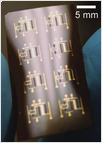 NAND logic gates based on printed ion gel and CNT transistors