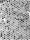 TEM image of DT-Au nanoparticles heat treated at 230 C. (Image from Teranishi, et. al. 2001. Advanced Materials 13 (22): 1699-1701. Copyright Wiley-VCH Verlag GmbH & Co. KGaA. Reproduced with permission.)