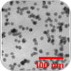 Thermoplastic Nanocomposites via Nanoinfusion Processing