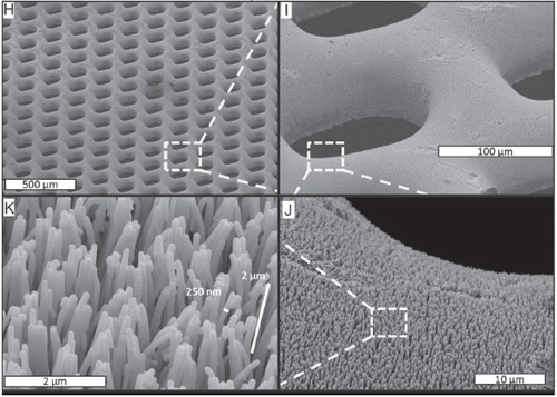 H–K) SEM images of the finished Pt-BMG nanowire electrode with gas feeding through-holes