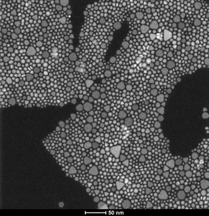Cadnium selenide nanoparticles as seen with Scanning Transmission Electron