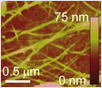 AFM topography image of printed CNT network on polyimide.