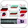 Aligned Carbon Nanotube Patterning Via Dry Contact Transfer Printing