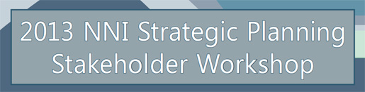 NNI Strategic Panning Stakeholder Workshop loog