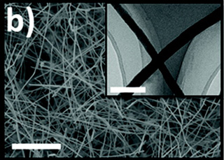 SEM and (inset) TEM images of NWs grown by the two-step method (growth condition: source temperature at 800 °C, substrate temperature at 540 °C, H2 flow rate at 100 sccm, growth duration of first step is 1 min and second step is 30 min); the scale bars are 2 ¼m and 200 nm, respectively.