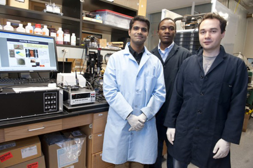 Three Northeastern student-researchers have developed a screening chip that uses nanoparticles to detect colorectal cancer earlier than ever before. Photo by Casey Bayer.
