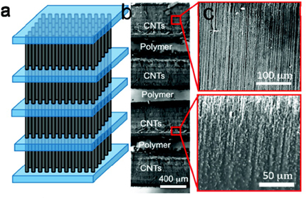 Multilayer carbon nanotube–polymer assembly. (a) Schematic diagram of the four-layer carbon nanotube–polymer (PDMS) structure. (b) Optical image of the four-layer carbon nanotube–polymer structure. (c) Scanning electron microscope (SEM) image showing the freestanding and wetted portions of the CNT array.