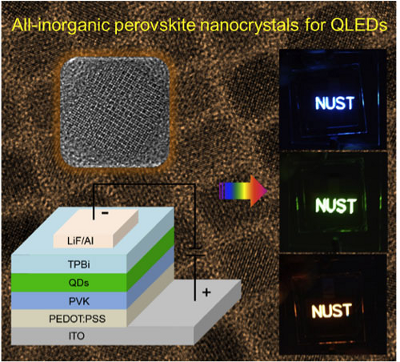 QLEDs based on all-inorganic perovskite cesium lead halide QDs. (Image: Institute of Optoelectronics & Nanomaterials, Nanjing University of Science and Technology)  Read more: All-inorganic perovskite quantum dot display breaks Cd-barrier