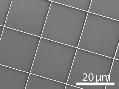This grid printed in gold has walls only 300 nanometres thick. (Photo: Schneider J et al. Advanced Functional Materials 2015)