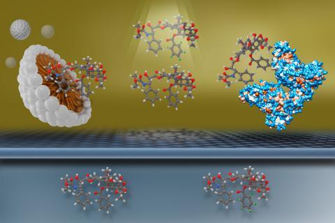 In its interagency agreement with the FDA, NCL will apply a filtration method invented by Stephan Stern, Ph.D., for measuring drug release from several nanomedicine products.