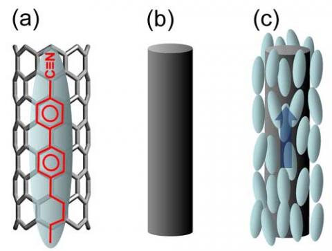Schematic illustrations of LC-CNT interaction: (a) anchoring of an LC molecule on the CNT surface due to π-π electron stacking. The blue ellipsoid is an LC molecule and the black cylindrical honeycomb structure is a CNT surface. The molecular structure of 5CB LC is shown in red in the ellipsoid on the CNT surface. The π-π electron stacking is illustrated by matching the LC’s benzene rings on the CNT-honeycomb structure; (b) a simplified version of a CNT; (c) a pseudonematic domain surrounding a CNT