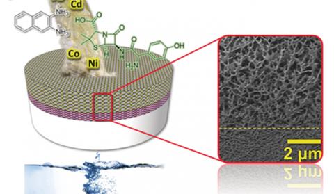 A self-assembling membrane for water purification